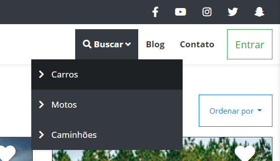 Menu de Busca - Tipo